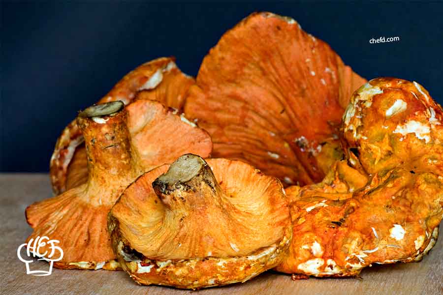 Lobster Mushrooms - shiitake mushroom substitutes