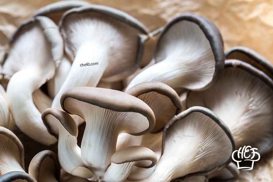Oyster Mushrooms - shiitake mushroom substitutes