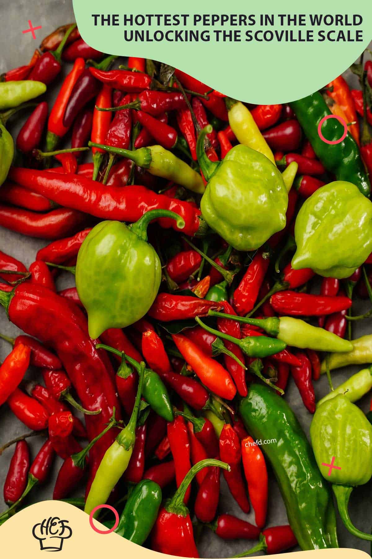 The Hottest Peppers in the World
