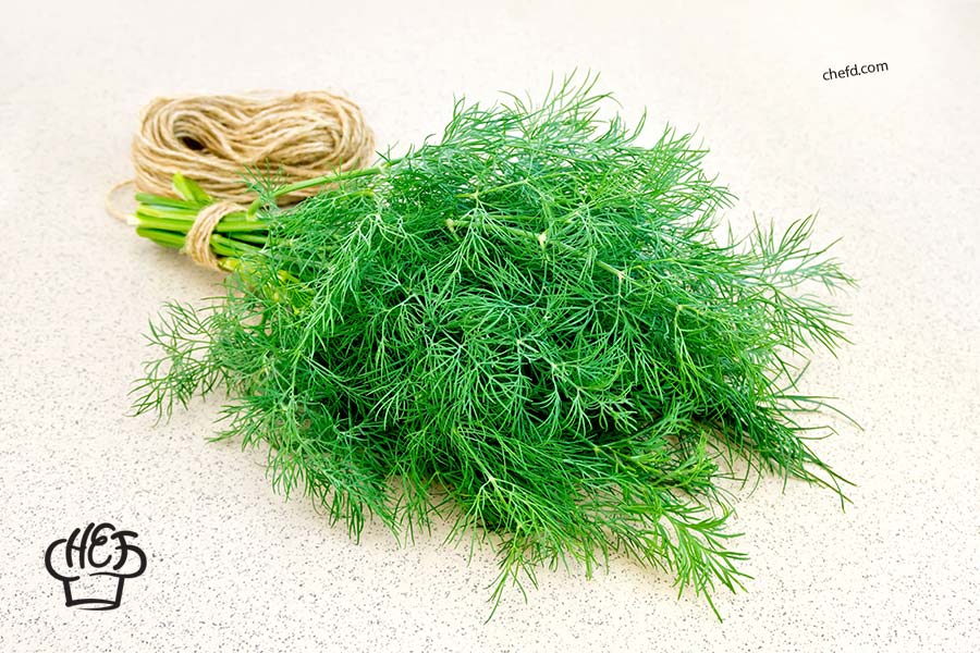Dill used in place of coriander leaves in various recipes