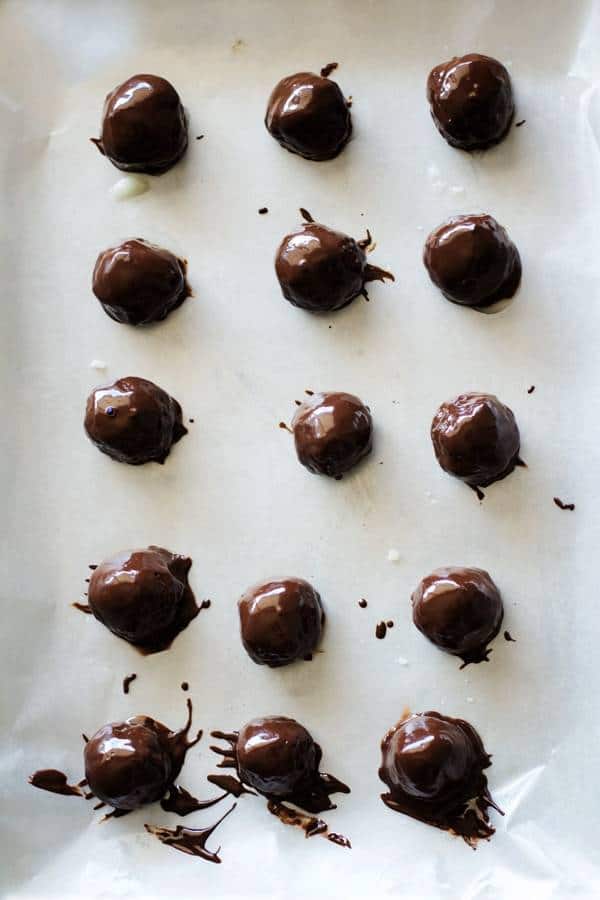 Image with Dark Chocolate Coconut Bites.