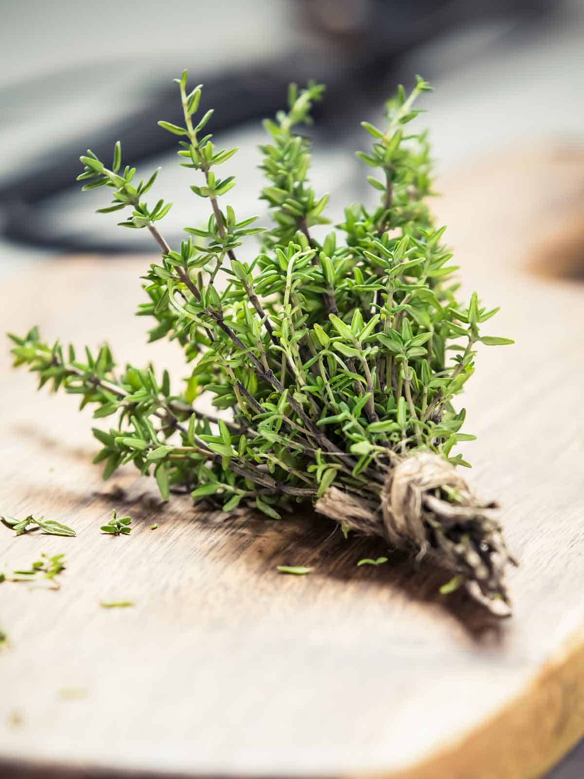 12 best substitutes for thyme