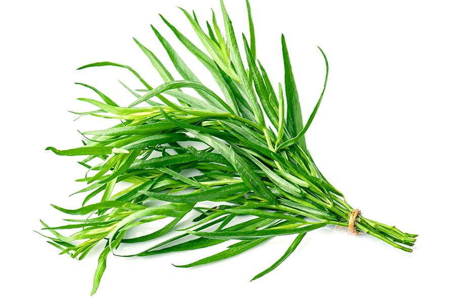 Tarragon herbal used as an alternative to thyme