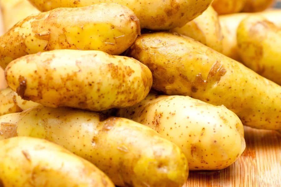 non gmo fingerling potatoes