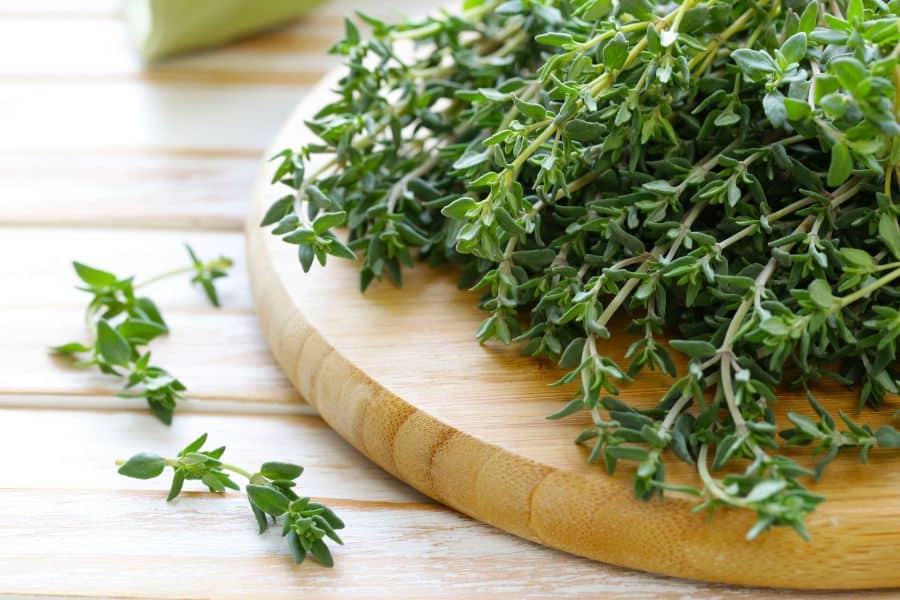 Thyme - one of the substitutes for savory