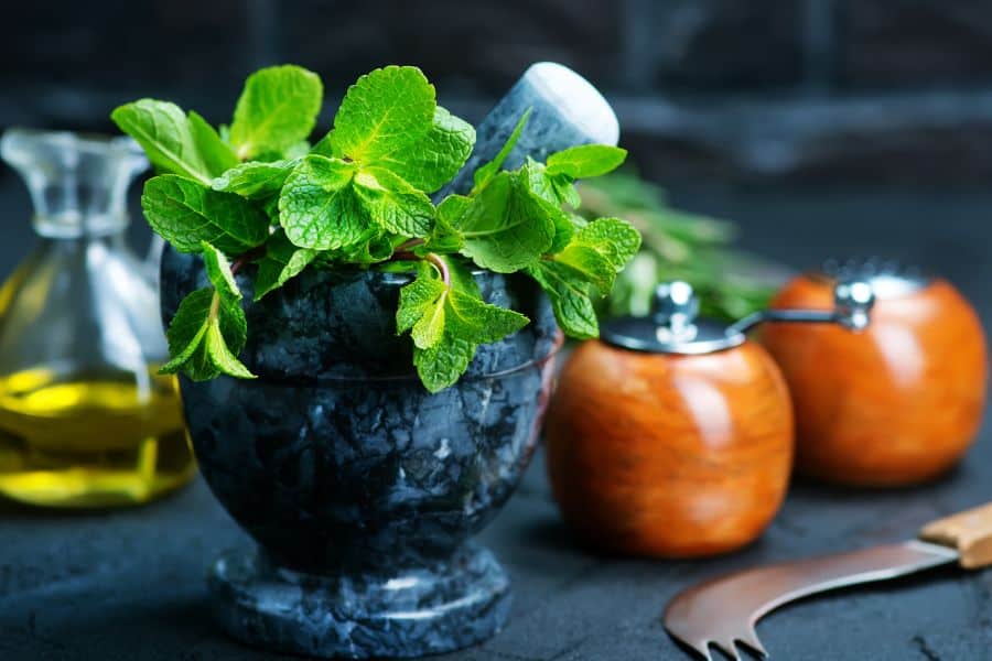 Mint - one of the substitutes for savory
