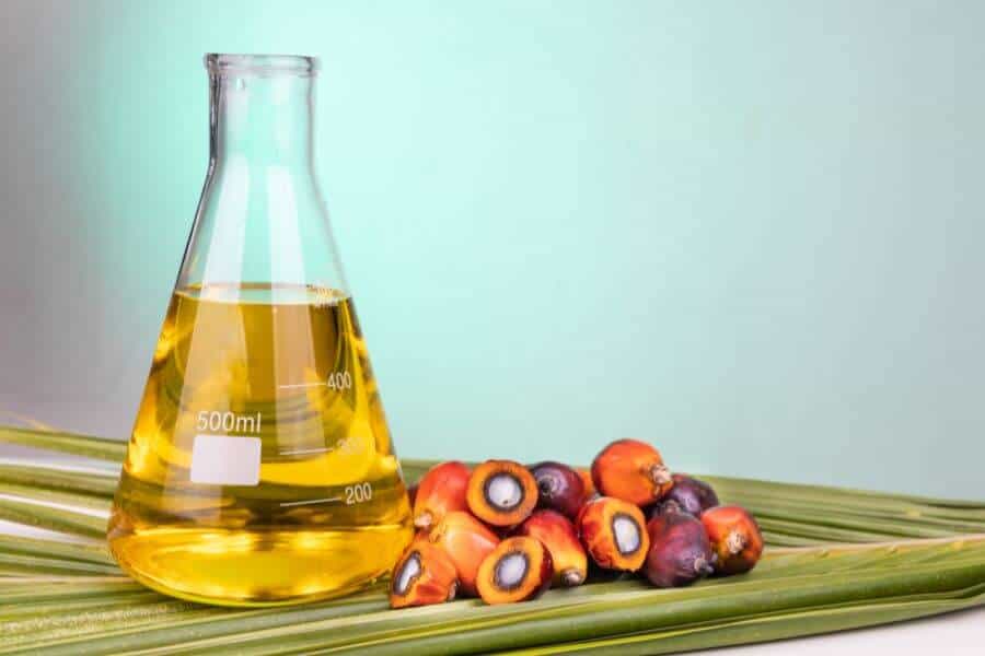 Oil palm fruits with biofuel in beaker in laboratory with green backgound
