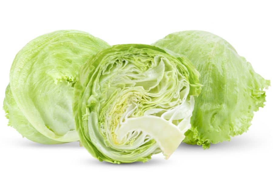 Iceberg Lettuce- types of lettuce