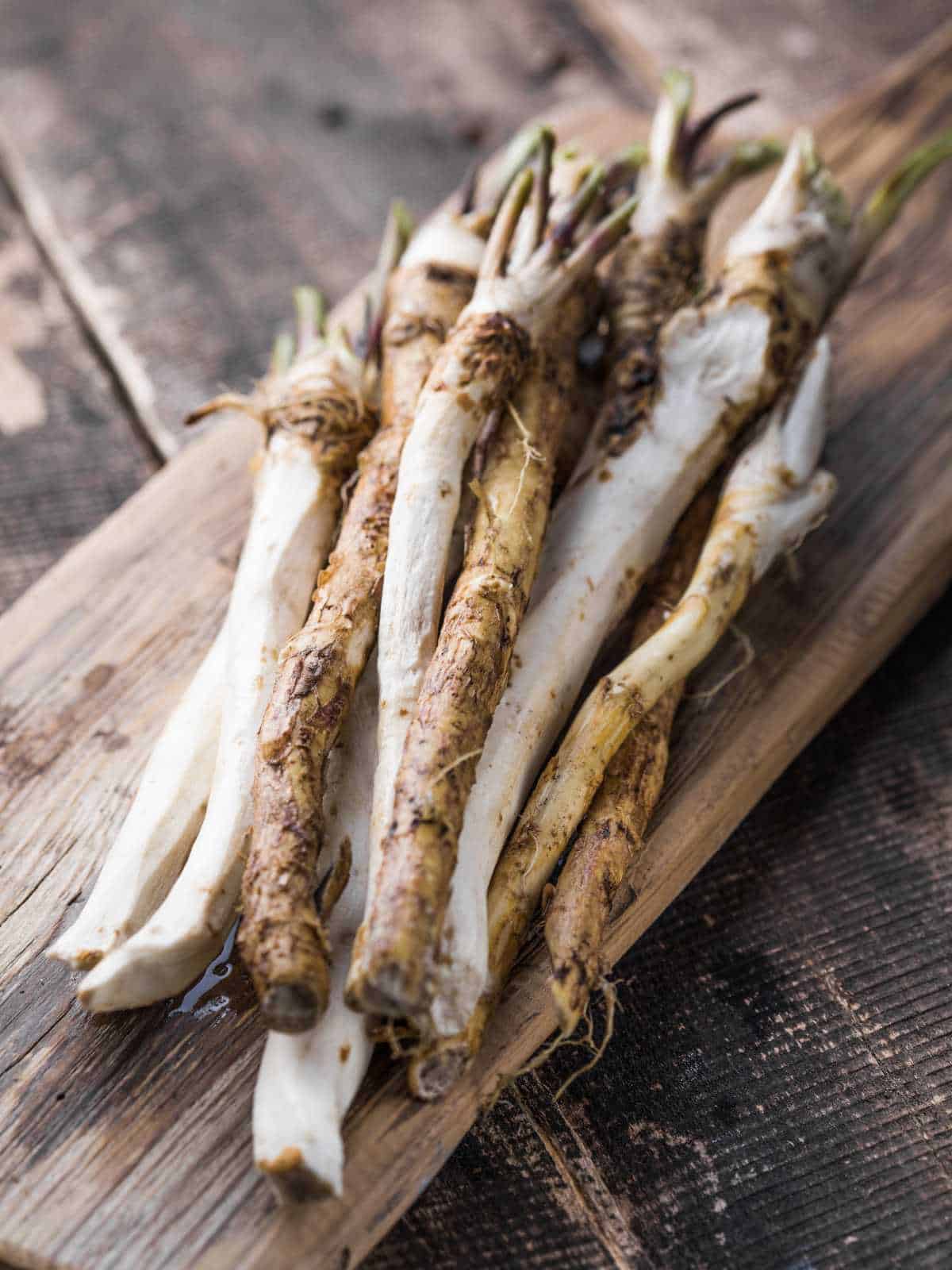 What is Horseradish? Learn About the Origins, Flavor, and Culinary Uses