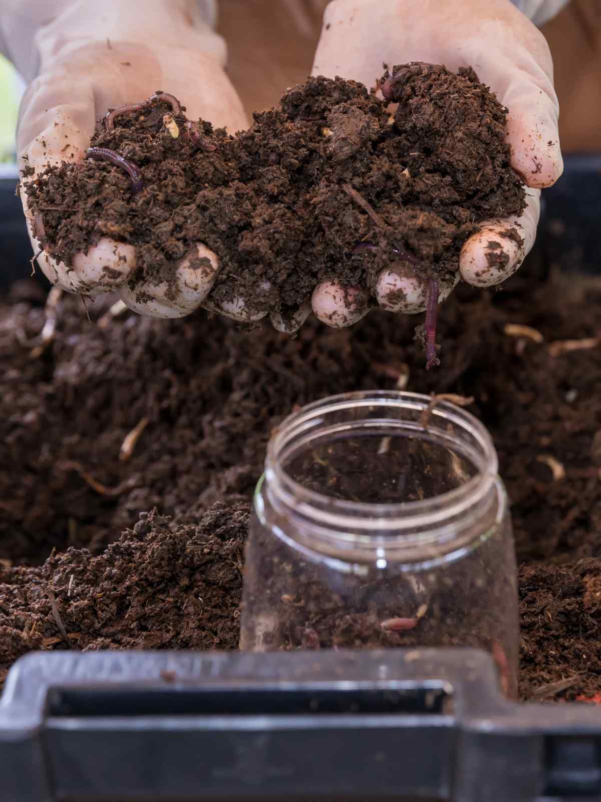 coffee ground compost for garden