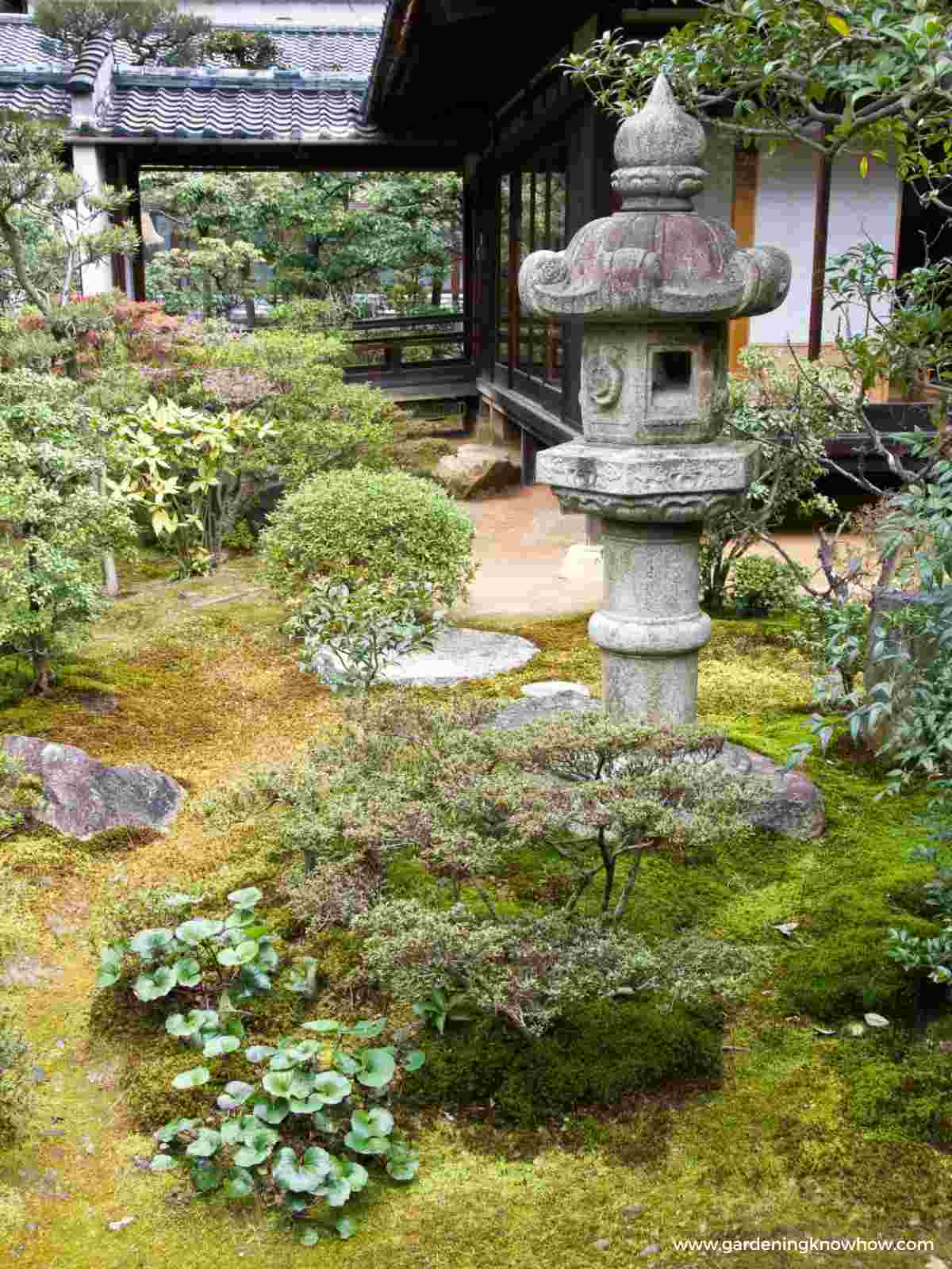 beautiful japanese zen garden