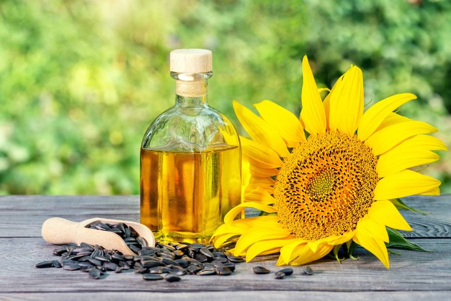 sunflower oil- sesame oil substitutes