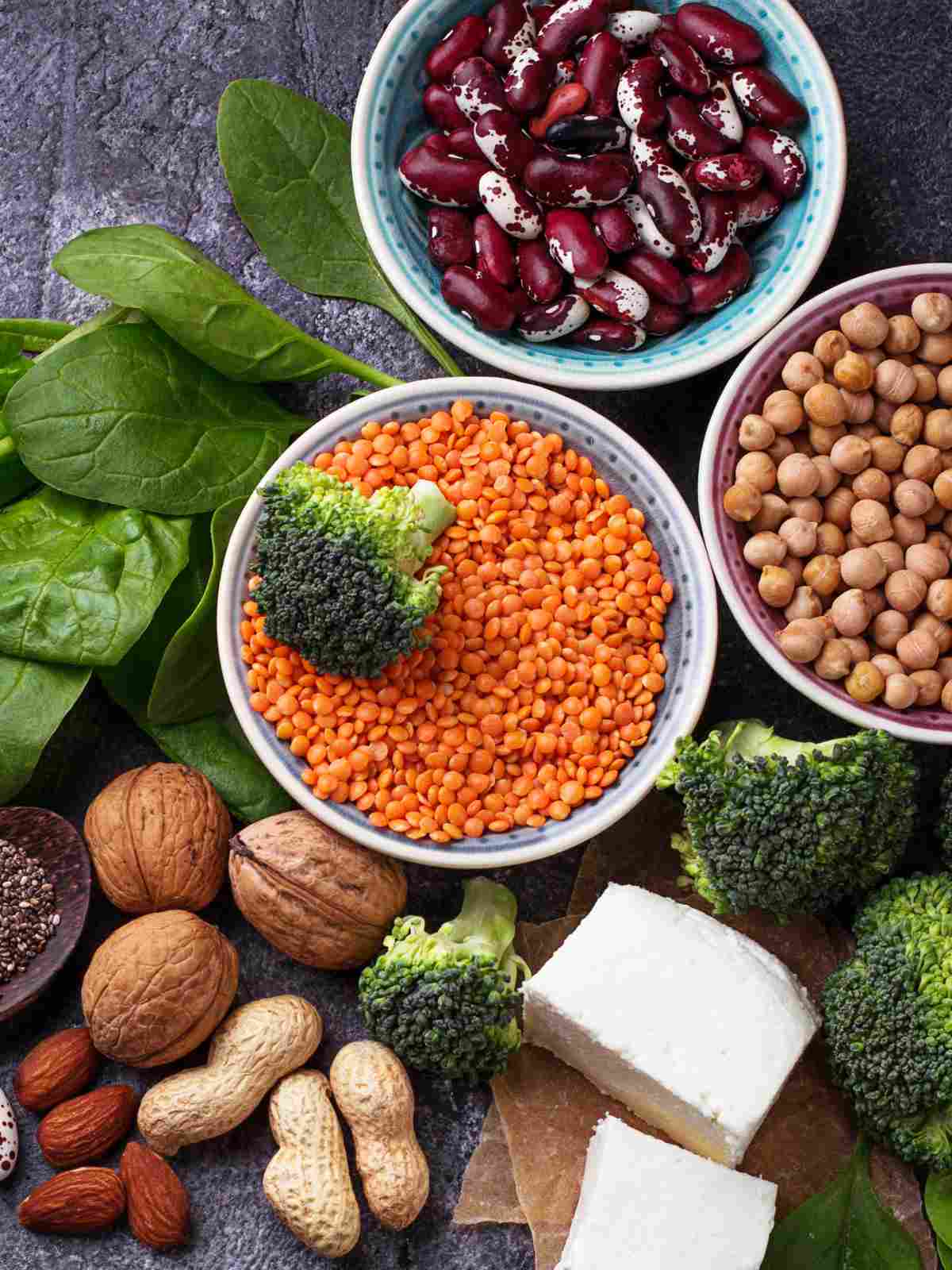 vegetarian sources of protein