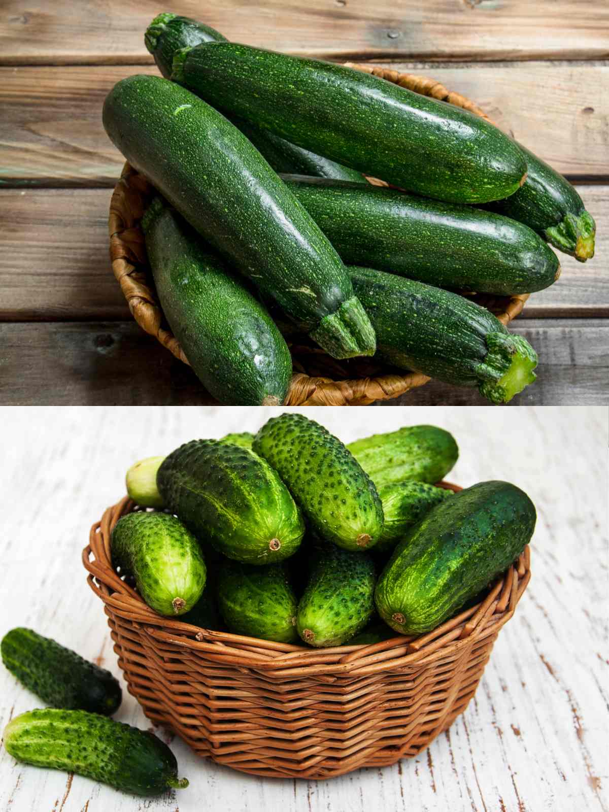 Zucchini vs Cucumber:Complete Comparison