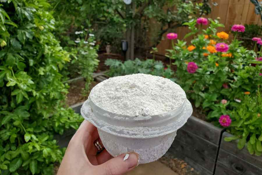 diatomaceous earth use for gardening