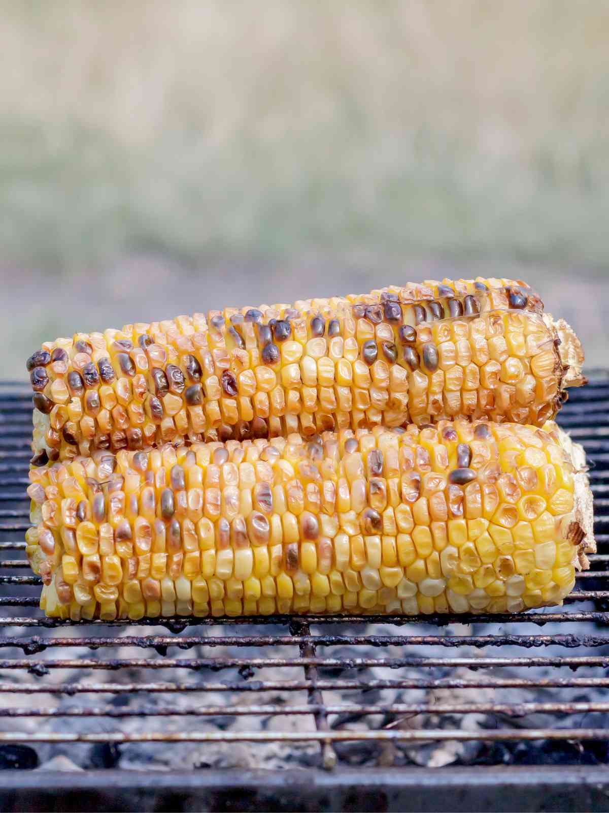 How to Grill Corn on the Cob