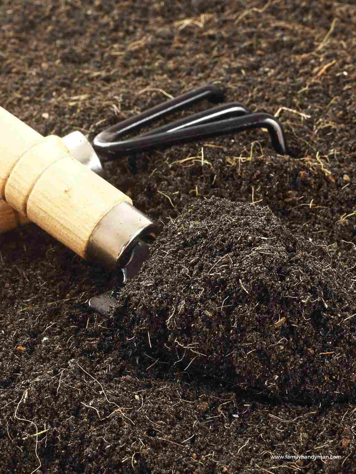 What is Loam Soil and How is it Different