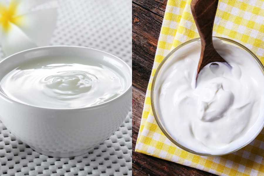 Unveiling the Truth Greek Yogurt vs. Regular Yogurt Explored