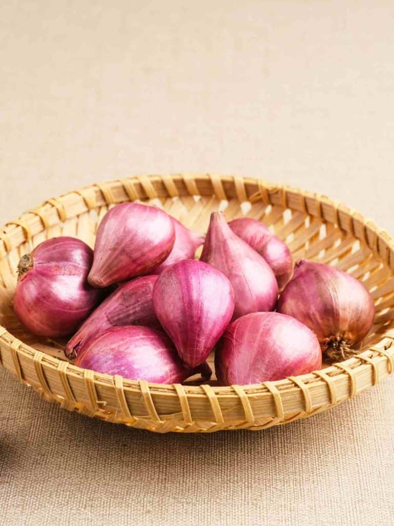 what are shallots