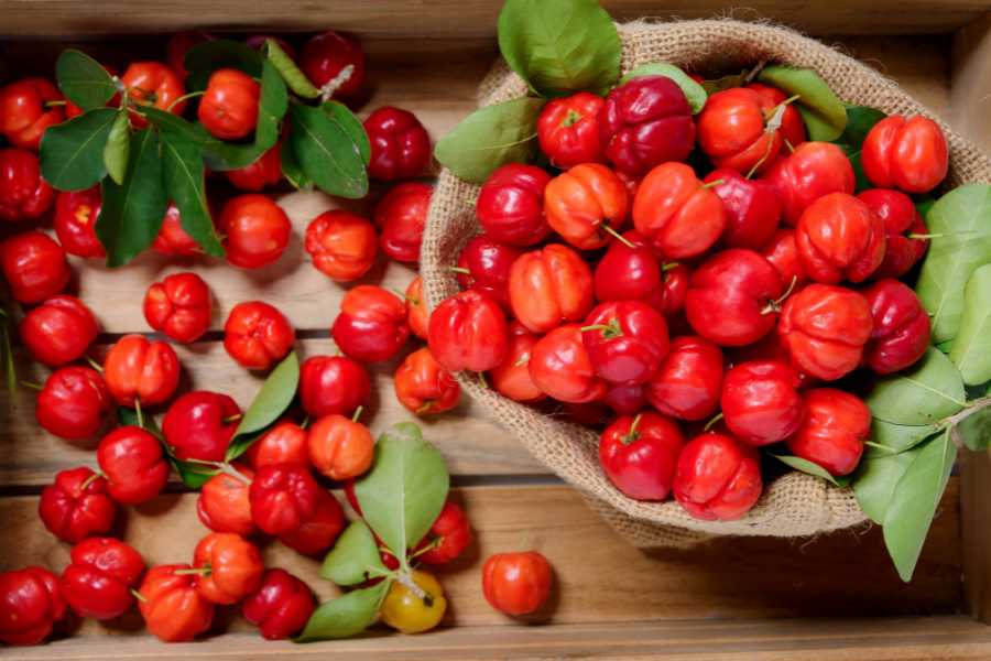 What Are Acerola Cherries