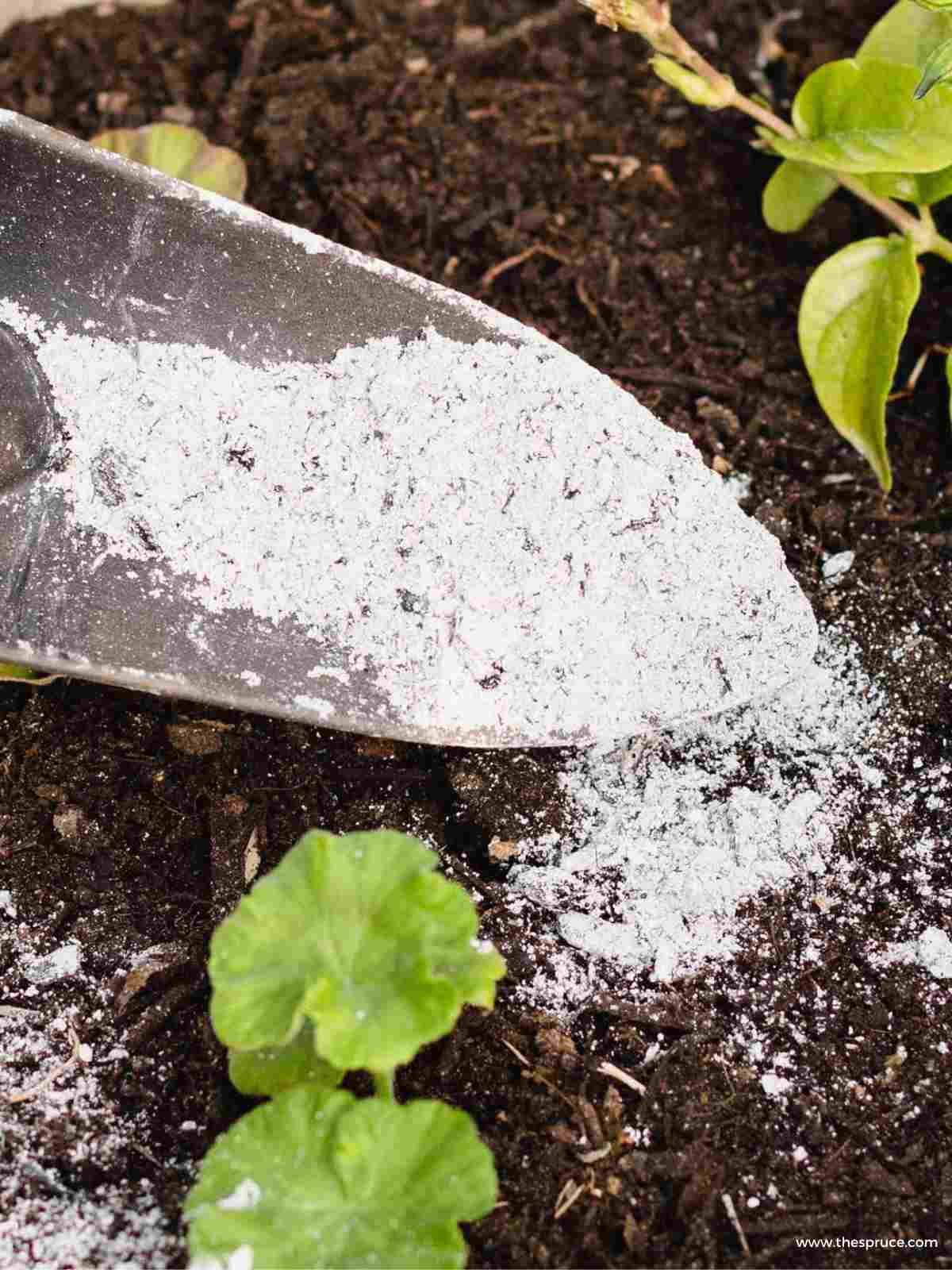 How to use wood ash as fertiliser in your garden