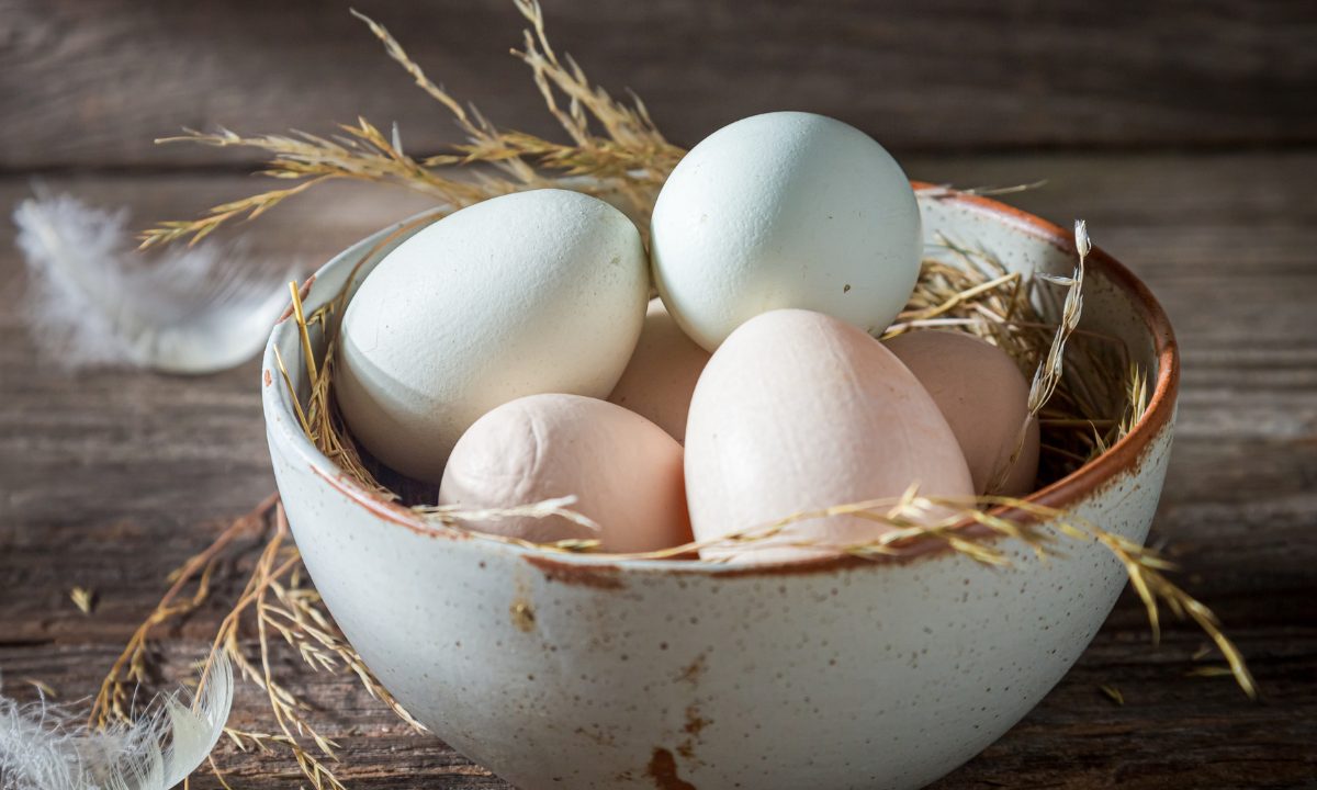 Are Eggs Safe for a Dairy-Free Diet