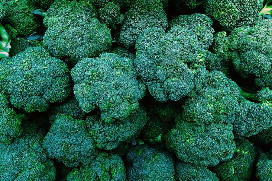 Foods That Are High in Vitamin C - Broccoli