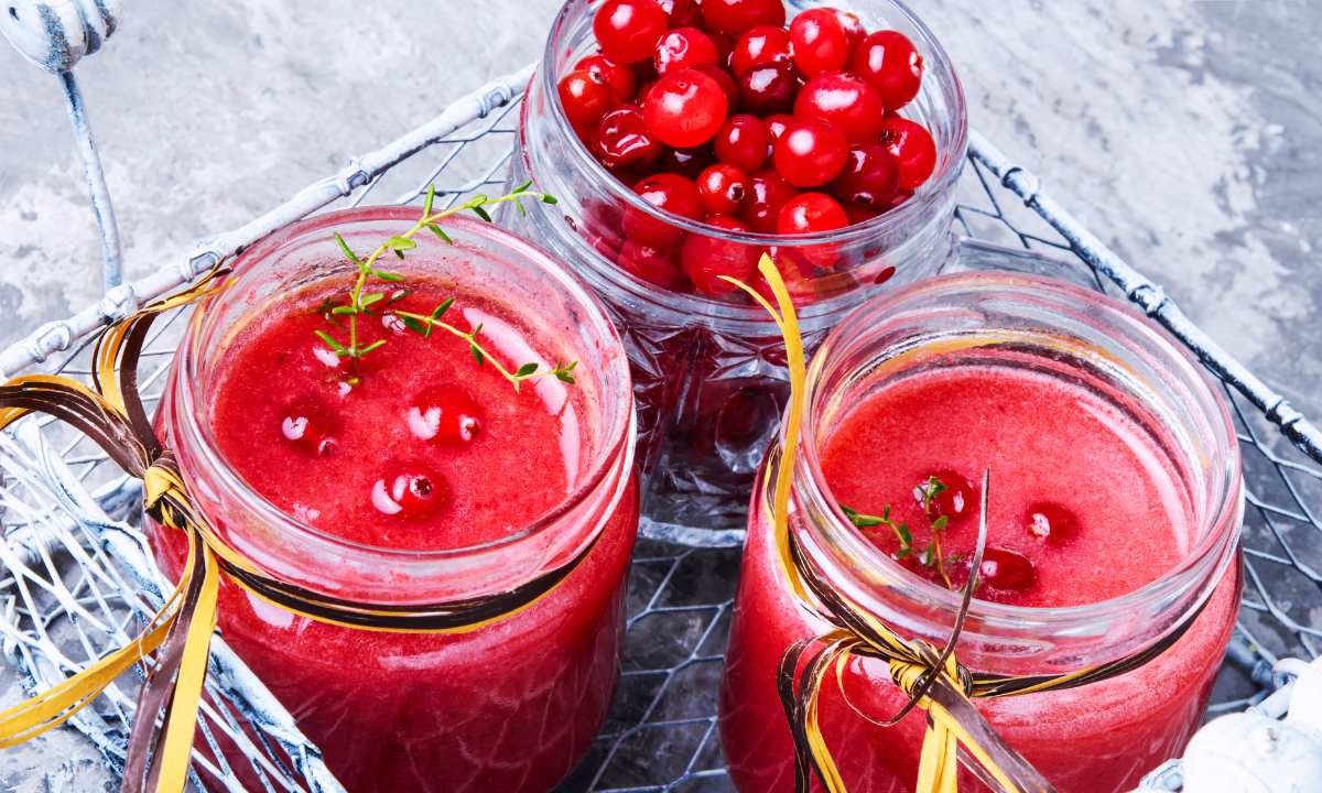 Cranberry Juice and Digestion Myths and Facts