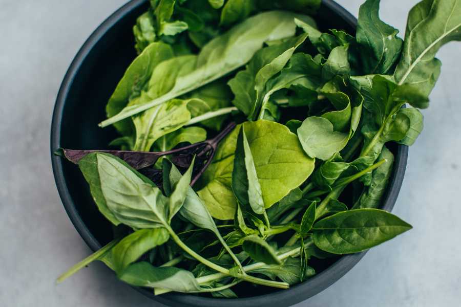 leafy greens- Foods Rich in Calcium


