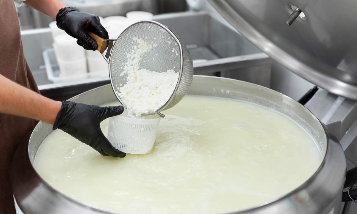 The Art of Making Gruyère Cheese