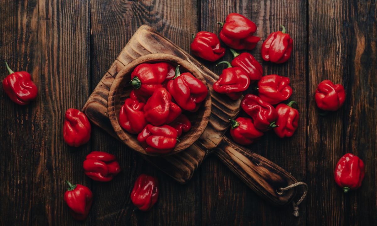 The Cultural Importance of Habanero Peppers in Local Traditions