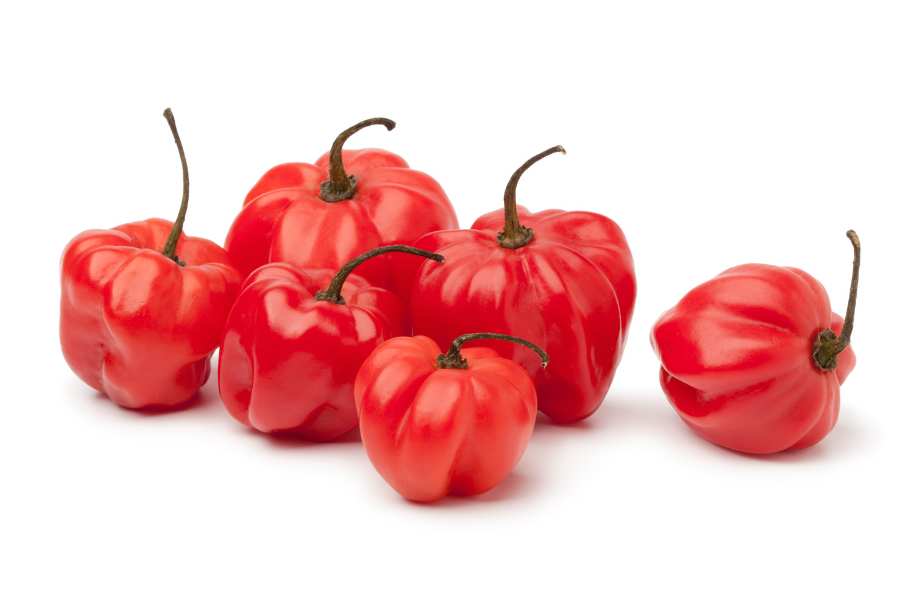How to Store Scotch Bonnet Peppers