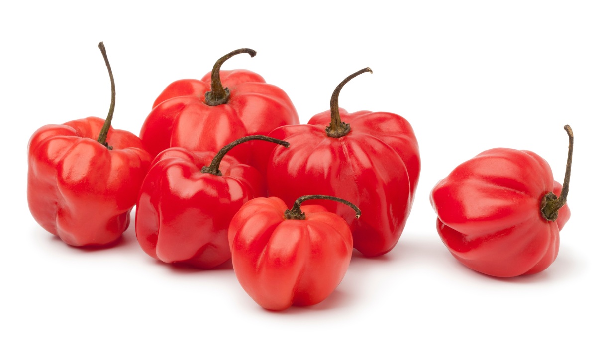 What Are Scotch Bonnet Peppers
