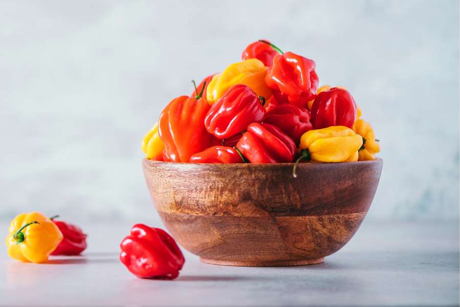 The Cultural Impact of Scotch Bonnet Peppers in the Caribbean