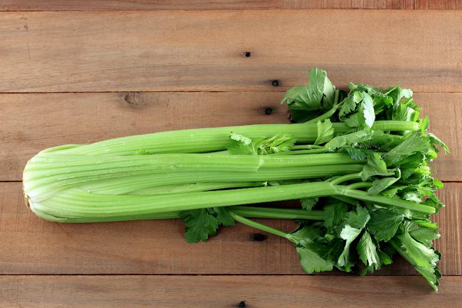 Best Anti Inflammatory Foods - Celery