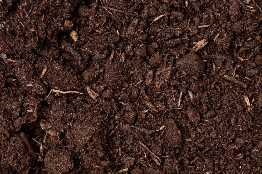 Benefits of Cow Manure Compost